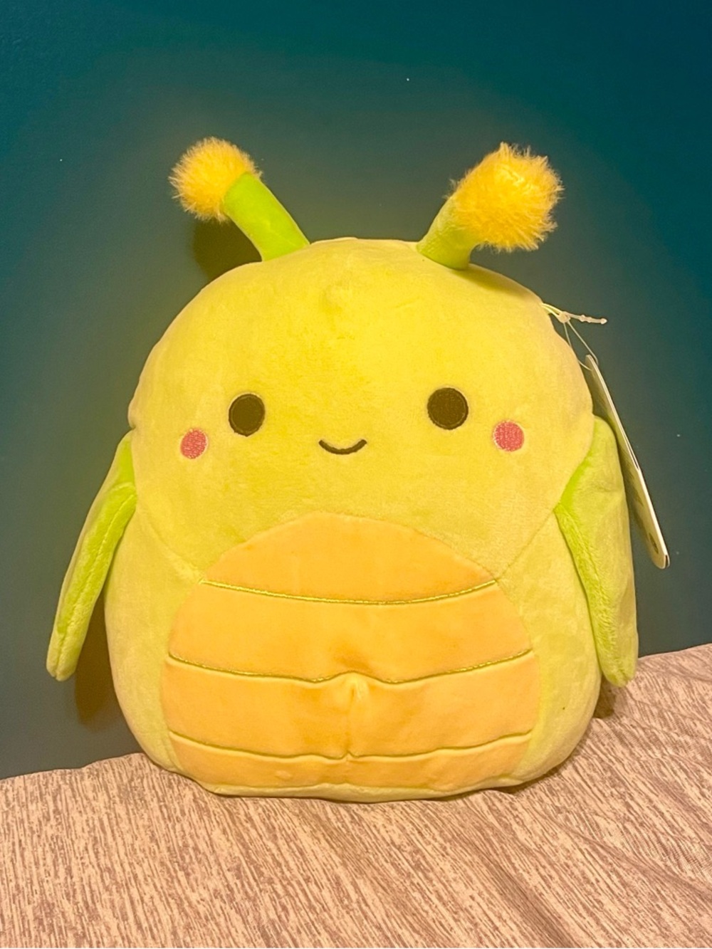 BNWT Pilar the Grasshopper Squishmallow